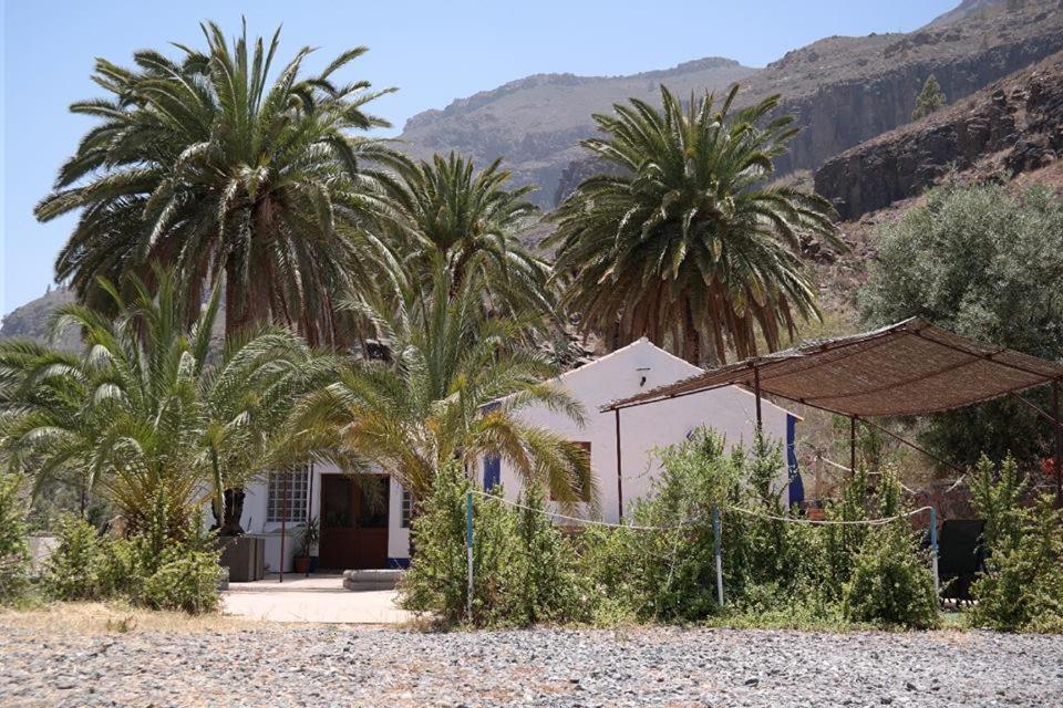Fátaga Ecotara Canary Islands 게스트하우스 외부 사진